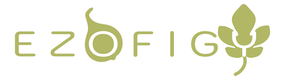 EZOFIGY_LOGO_mob